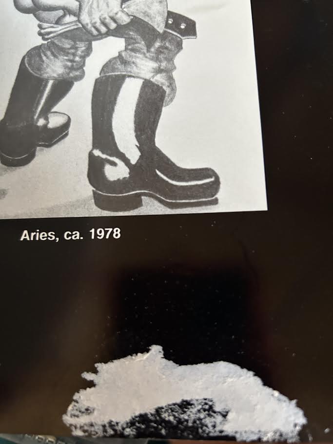 The Tom of Finland Company Presents THE HUN BOOK